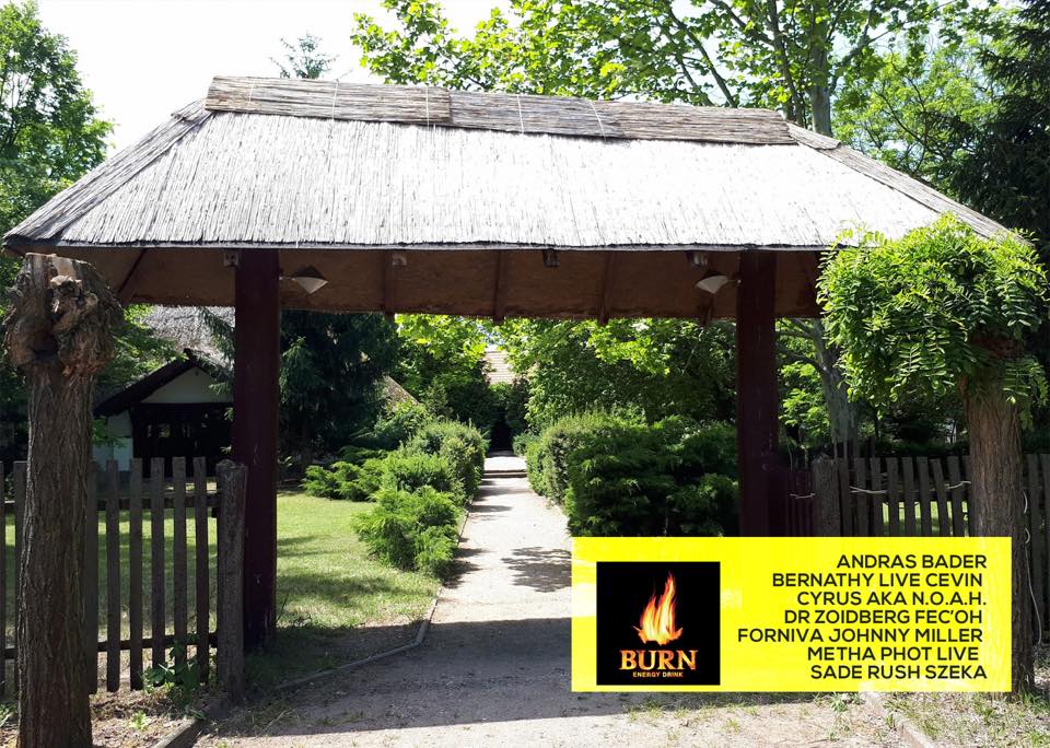 Lajosmizse, Daydreaming Festival - burn stage flyer